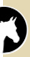 Equine Services